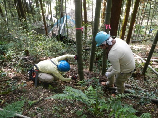 森の安全を考える会